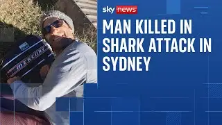 Man killed in shark attack in Australia after screams of 'don't bite me' heard
