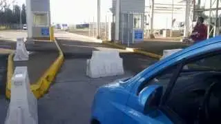 Ambrosia la perrita viajera