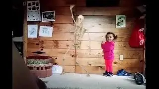 My sister's dancing pet skeleton