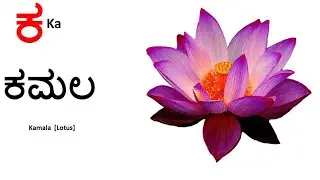 Kannada alphabets// ಕನ್ನಡ ವರ್ಣಮಾಲೆಗಳು//Kannaḍa varṇamālegaḷu// Kannada alphabets ಕ ಖ ಗ ಘ ಙ ಚ