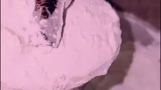 perfect squeaks 🤍