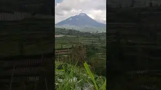 MERAPI VOLCANO #SHORTS
