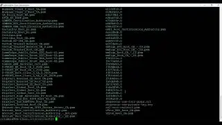 Install SSL/TLS certificate in NGINX in a Linux server