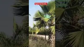 Moradabad Budanpur Plot | Delhi Road Moradabad | TMU se 5 KM 🏡