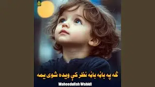 څه په باڼه باڼه نظر کې ویده شوی یمه