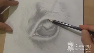 Drawing Pet Portraits Part 5 &ndash; Drawing Soft White Fur
