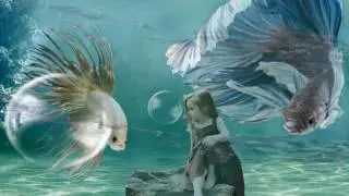 AFTER EFFECT / SUPER BASIC PROJECT - ANIMATED STILL IMAGES