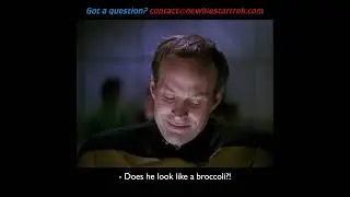 Lieutenant Broccoli? 🥦🥦🥦