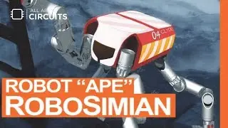 Robotic 