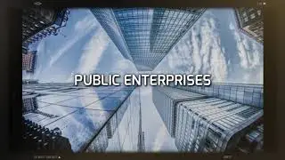 What is Public Enterprises?