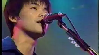 【LIVE Y】 the pillows / Moon is mine