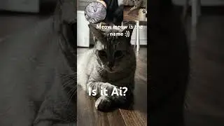 Guys do you think it&rsquo;s so or real