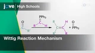 Aldehydes & Ketones to Alkenes: Wittig Reaction Mechanism | Organic Chem | Video - Preview