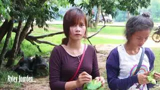Wow, Amazing smart monkeys meet beautiful tourist girls near Angkor wat temple for food #1