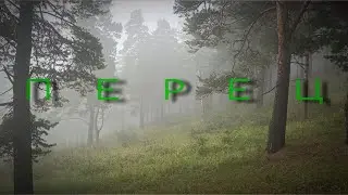 🌶ПЕРЕЦ ТРЁХЛЕТНИЙ🌶