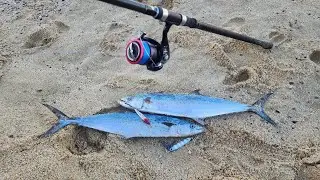 PESCA MULTIESPECIES EN PLAYA TODOS SANTOS