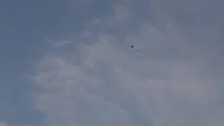 Patang Baz