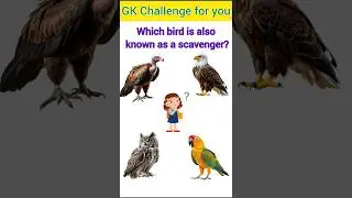 Which Bird is Called a Scavenger? 🦅💀|| #facts #americe #amercia#gkq #gsenm #quotes #gkusa #mesaverde