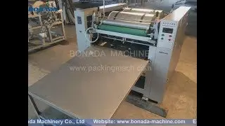 DS-870 Bag to Bag Flexographic Printing Machine