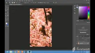 photo editing Adobe Photoshop Clone Stamp make clone of one thing