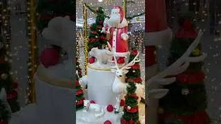 Merry Christmas | Christmas Celebrations #merrychristmas #youtubeshorts #shorts