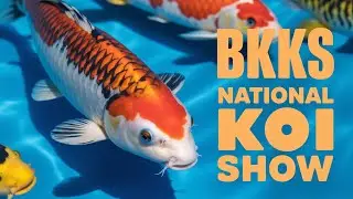 BKKS National 2025