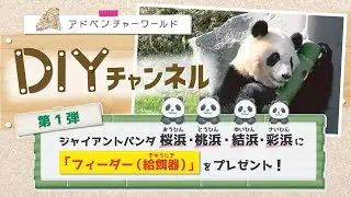 アドベンチャーワールド DIYチャンネル ～パンダ姉妹4頭に『フィーダー(給餌器)』をプレゼントしてみた！～