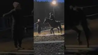 Power was very nice today on the groundwork, however, he was very lively and hot❤️🐎