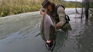 Lower Tonsina River - Float & Fish