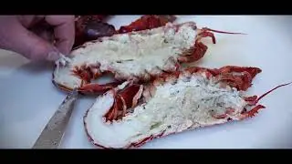 Sandys Fishmongers Ltd - How to prepare lobster