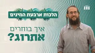 הלכות ארבעת המינים: איך לבחור אתרוג? | הרב אורי הכהן