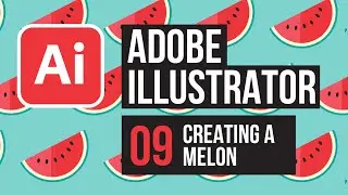 Melon illustration in Adobe Illustrator
