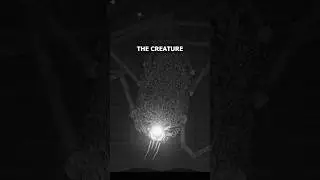 The Disturbing Sea Creatures of Silt
