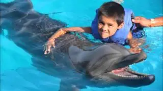 Logan Walter Martinez 2008 to 2015