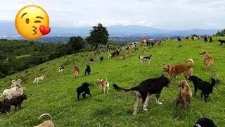 3 places which animal lovers should visit!!!