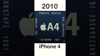 Evolution of Bionic Chip