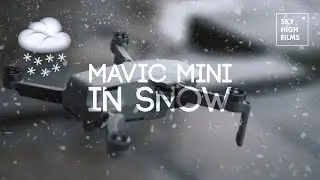 MAVIC MINI IN SNOW!!! WILL IT SURVIVE?!?! #TEST