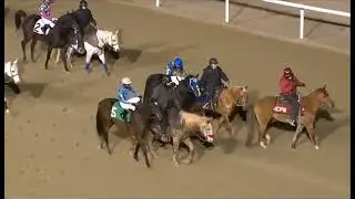 R2 PENN NATIONAL 28 НОЯБРЯ 2025 ГОДА