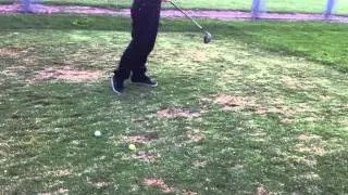 Rick Profile Swing