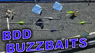 BDD Buzzbait Introduction