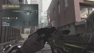 Elite Weapons #6 Bal 27 Obsidian Steed COD AW 21