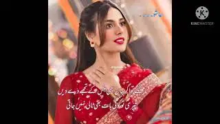 #zammil zammil #Turkki #song
