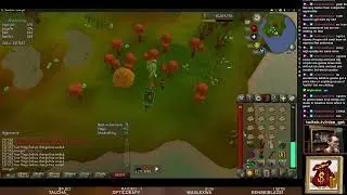 runescape day 93 - Quest Cape grind / nice_get Live Stream