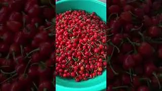 Dalle khursani ko achar #kanchikoachar #nepalifoodblogger