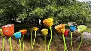 A Peaceful Walk Through Lava Glass, Taupō | A Quiet Garden of Light & Art