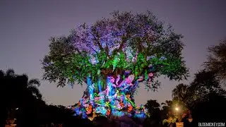 Tree of Life - 50th Anniversary Beacon of Magic Show [4K 2022]