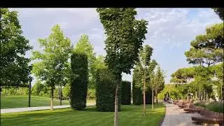 The REAL Reason Galitsin Park is PERFECT for Outdoor Enthusiasts