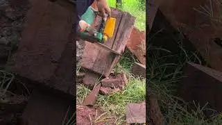 Cutting wood for the day 🔥 #shorts  #cutwood  #Chainsaw #WoodWork #FarmLife #WorkHard
