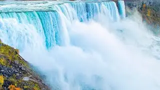 people who fell in the Nigeria falls and survive