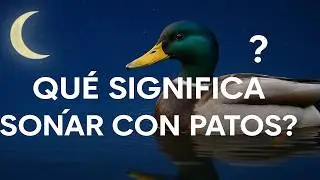 So&ntilde;ar con patos: significado seg&uacute;n el color y el comportamiento